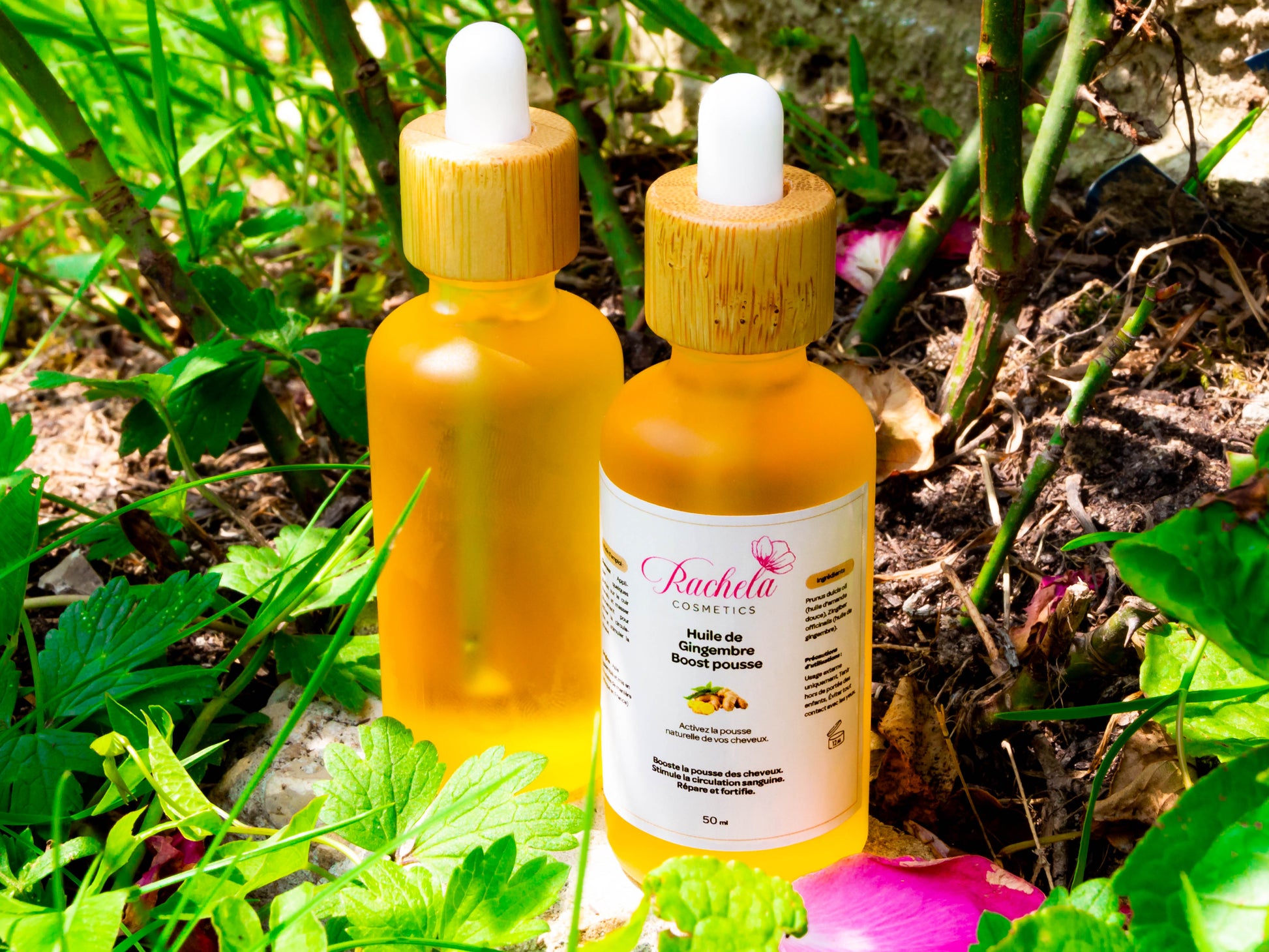 Huile de Gingembre – 50 ml – Stimule la pousse & revitalise