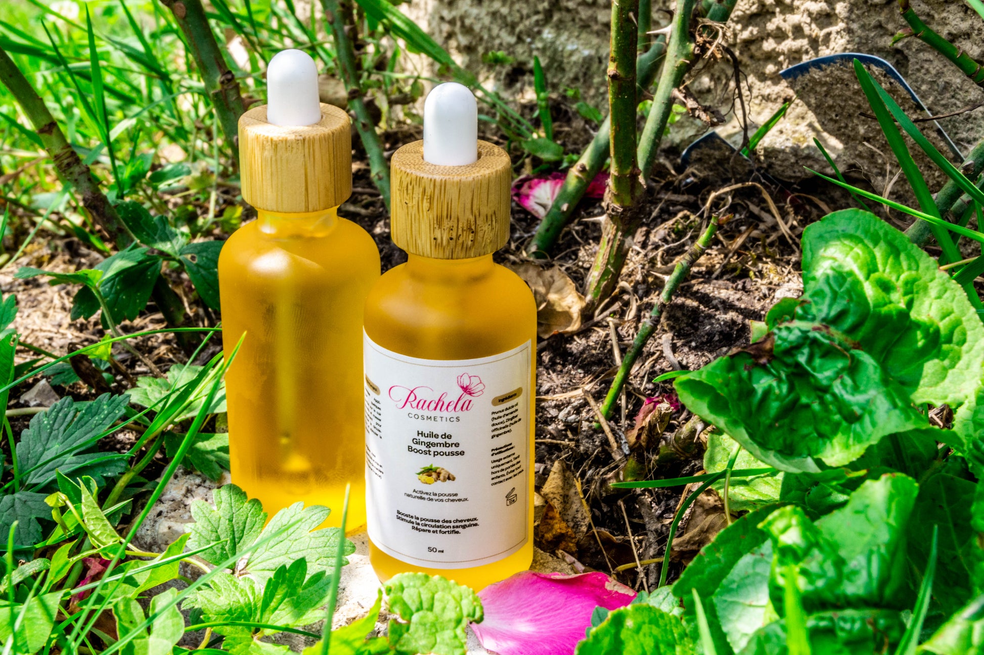 Huile de Gingembre – 50 ml – Stimule la pousse & revitalise
